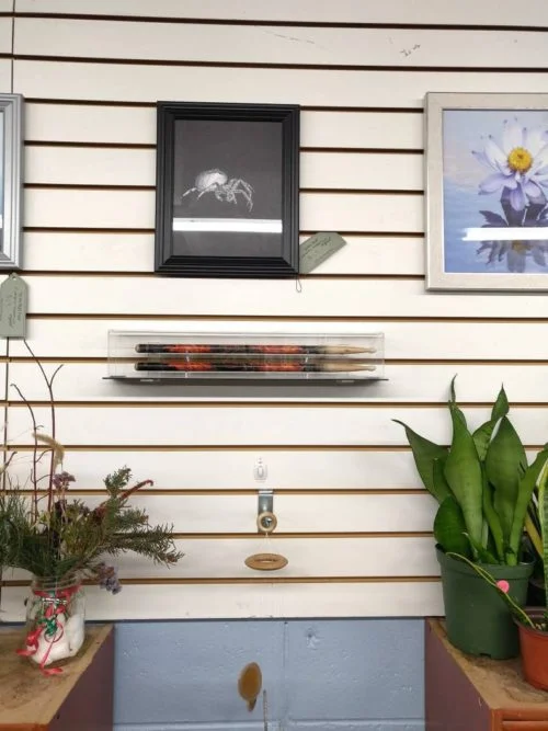 drumstick display case