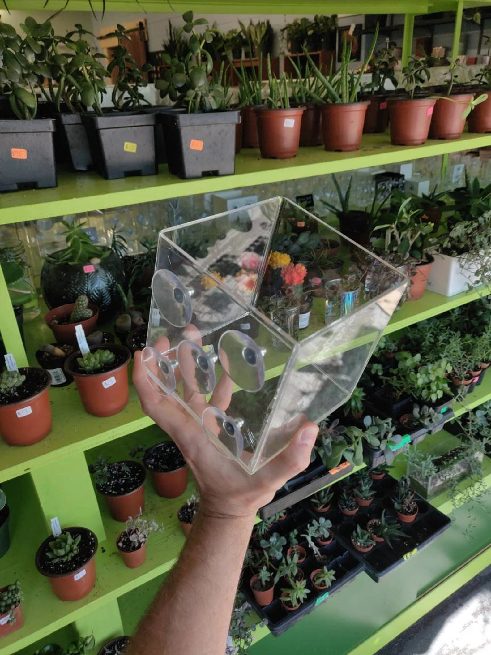 Suction Cup Window Planter Cubed