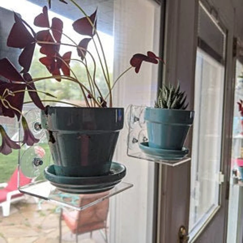 Clear Window Shelves for plants